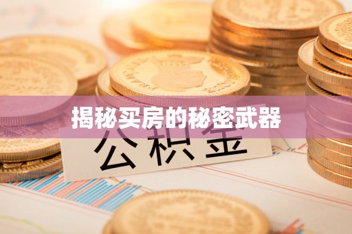 装修揭秘买房的秘密武器