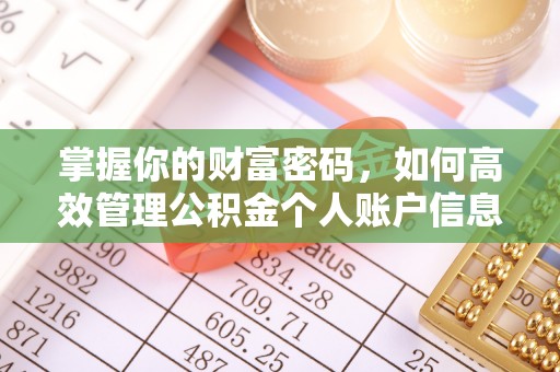 装修掌握你的财富密码，如何高效管理公积金个人账户信息