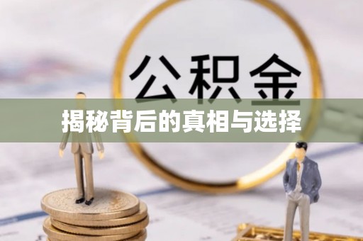 装修揭秘背后的真相与选择