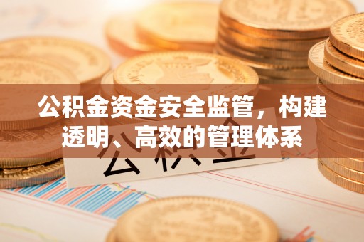 装修公积金资金安全监管，构建透明、高效的管理体系