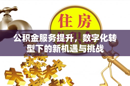 装修公积金服务提升，数字化转型下的新机遇与挑战