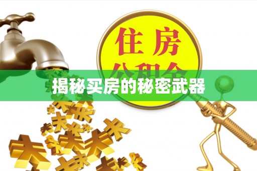 装修揭秘买房的秘密武器