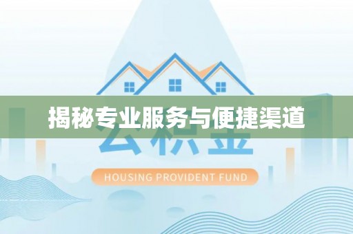 装修揭秘专业服务与便捷渠道
