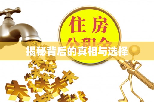 装修揭秘背后的真相与选择