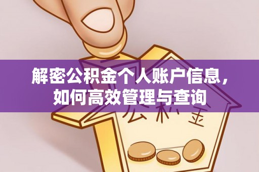 装修解密公积金个人账户信息，如何高效管理与查询