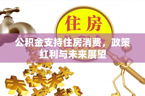 装修公积金支持住房消费，政策红利与未来展望