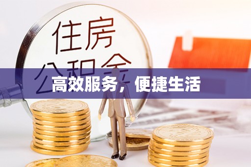 装修高效服务，便捷生活