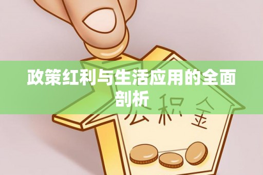 装修政策红利与生活应用的全面剖析