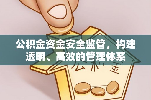 装修公积金资金安全监管，构建透明、高效的管理体系