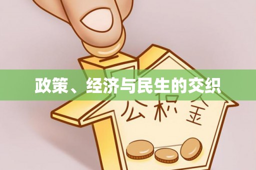 装修政策、经济与民生的交织